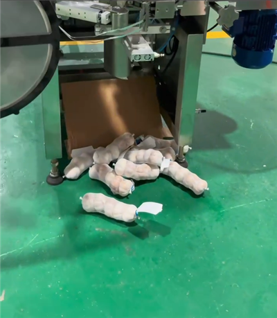 مکمل طور پر خودکار لہسن میش بیگ پلاسٹک پیکجنگ مشین سیدھ میں لانے والی بیگنگ مشین