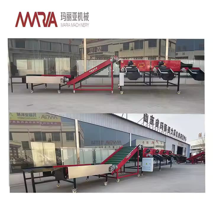 OEM اپنی مرضی کے مطابق صنعتی پیاز کی درجہ بندی کرنا مشین پیاز کی درجہ بندی آٹو صنعتی پیاز سائزائزنگ آلات کی درجہ بندی کرنا